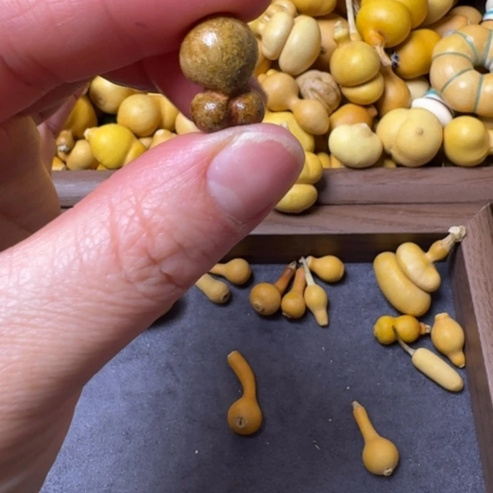 M****i我的小可爱们都好可爱