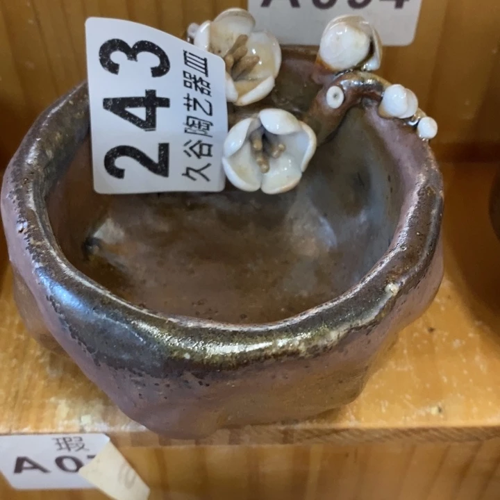 杯六*柴烧肉等特色菜式