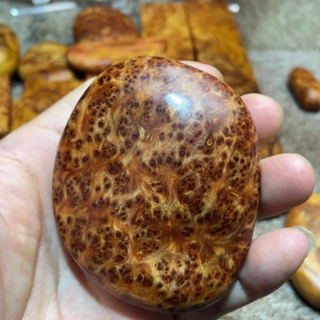 柏木（崖柏）其他把