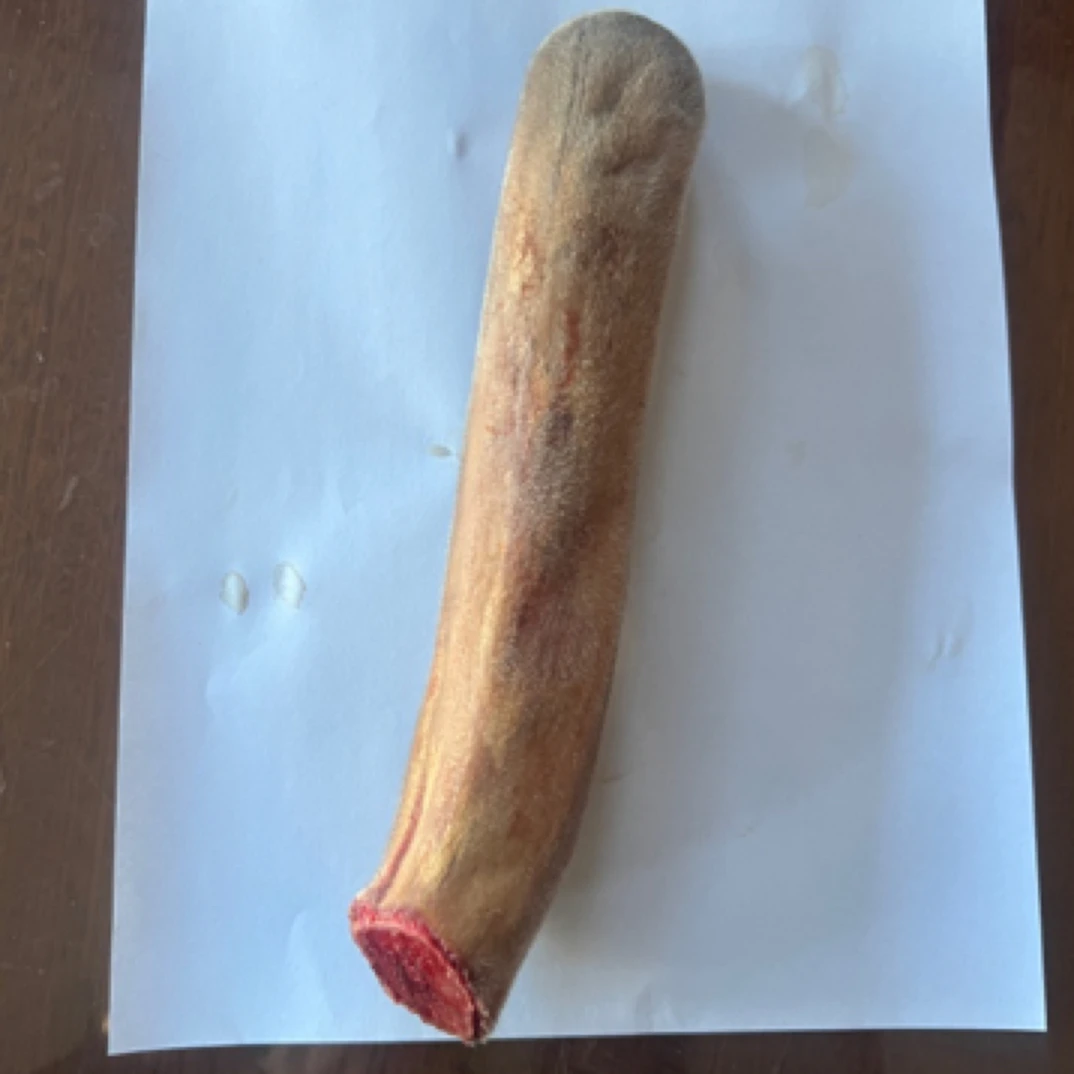 东北特产梅花鹿场直发 新鲜整枝鹿茸