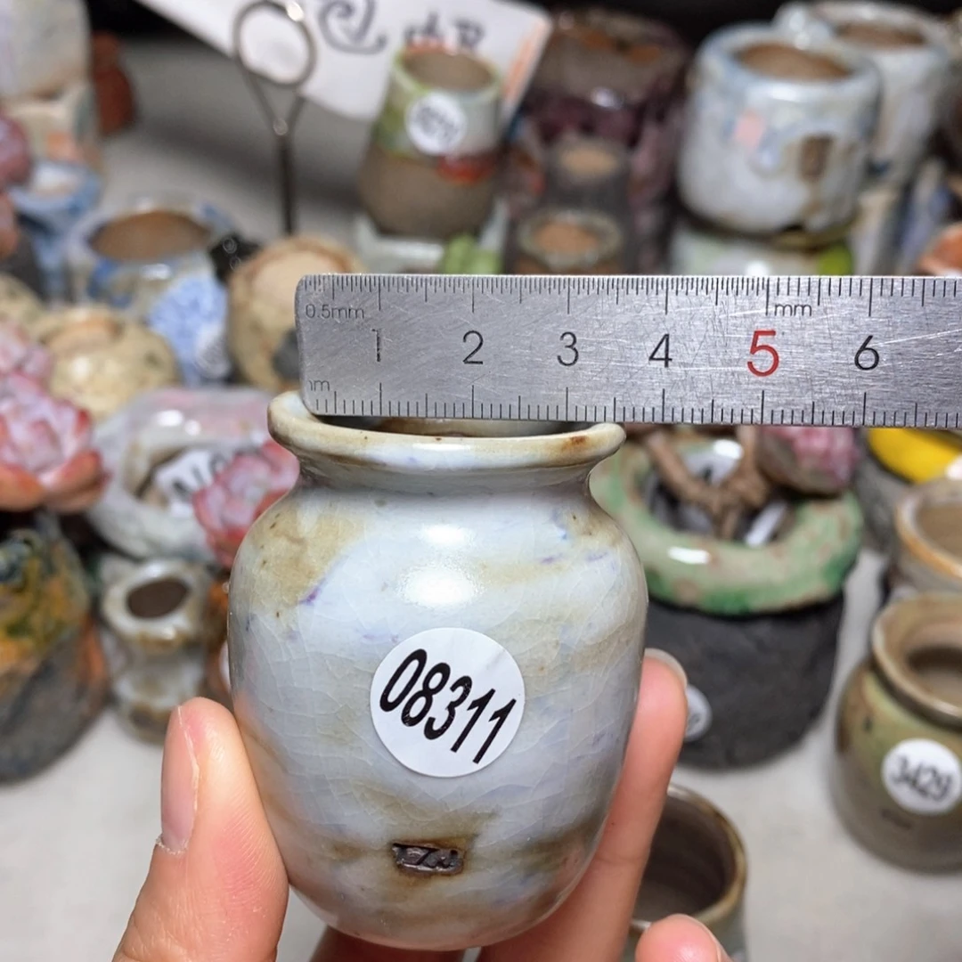 花盆拍5送一个小礼物