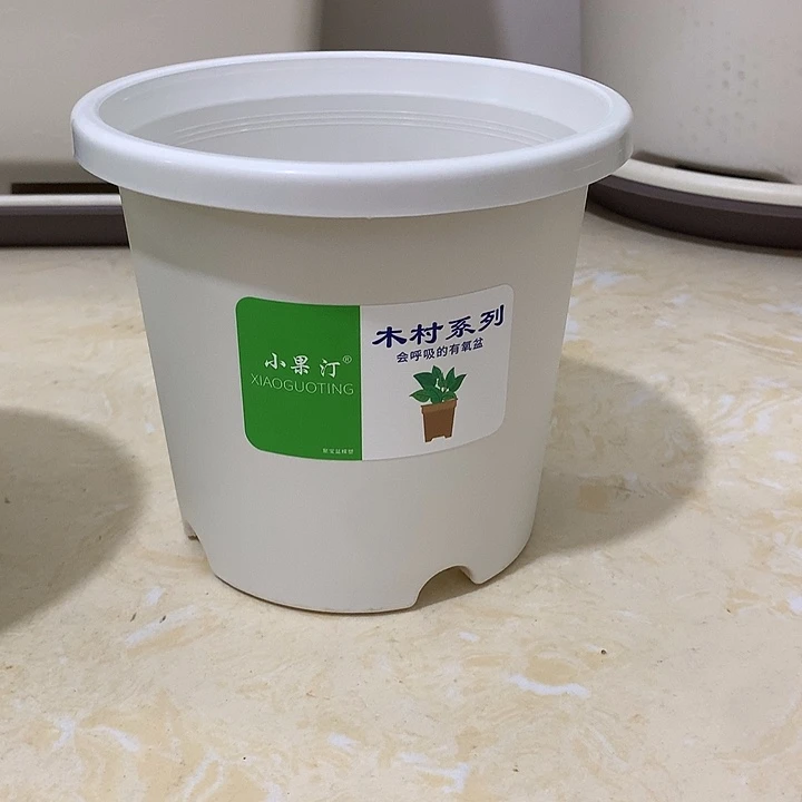 小果汀15口白10个无托