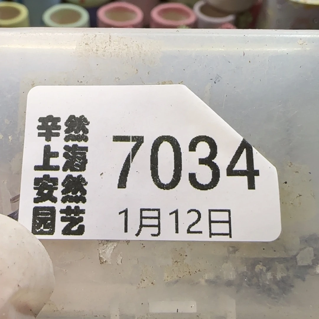 小****数1。12。7034。方碗。