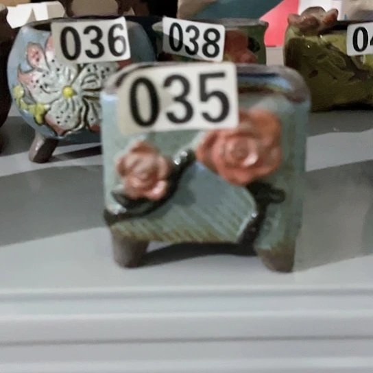 多肉植物花盆花盆