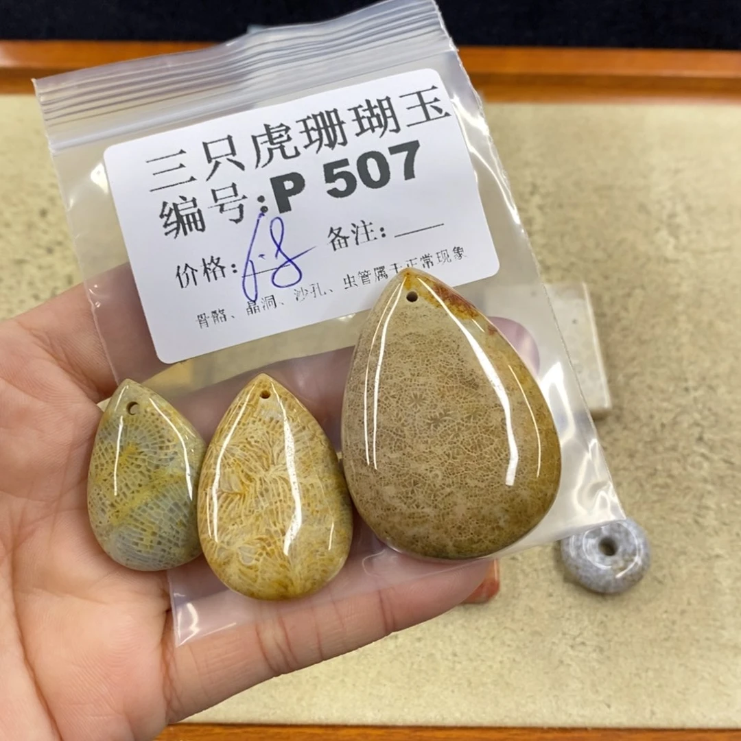 硅化珊瑚（珊瑚玉）1未镶嵌用****舞