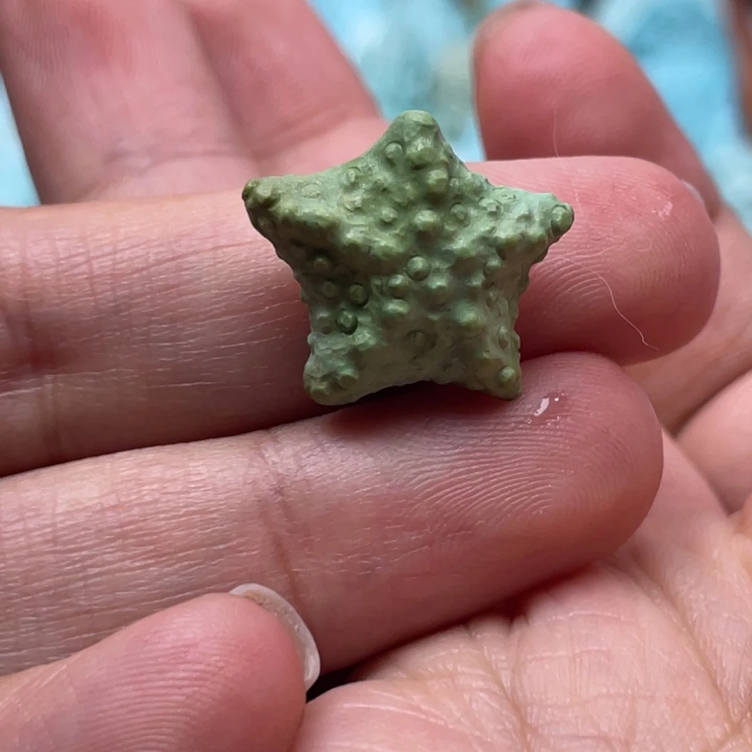 未镶嵌绿松石544绿松石