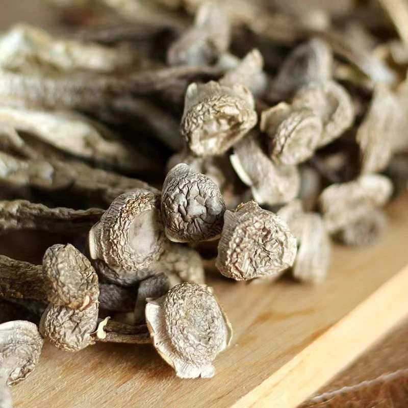 鹿茸菇干货特级爆炒炖汤无硫嫩脆精选农副产品爆炒炖