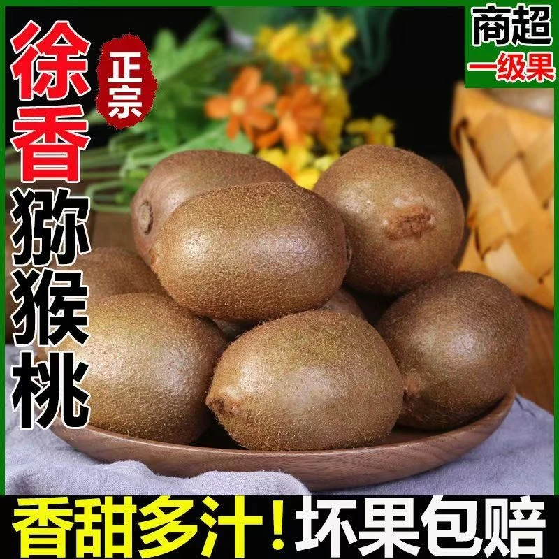 礼盒装陕西眉县徐香绿心猕猴桃现摘现发酸甜可口中秋送礼陕西特产