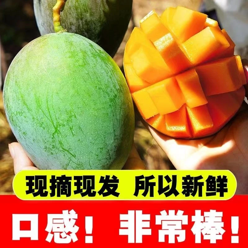 【大芒果】攀枝花凯特芒果当季新鲜现摘水果苹果芒果整箱批发