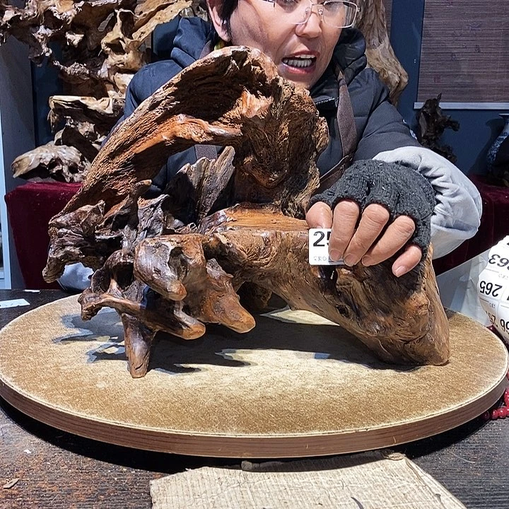 成***258。株木随行根艺