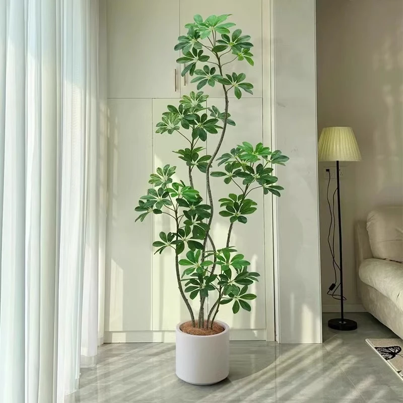 【大-鸭脚木8头八方来财】客厅大盆栽客厅绿植旺宅老桩落地好养真花