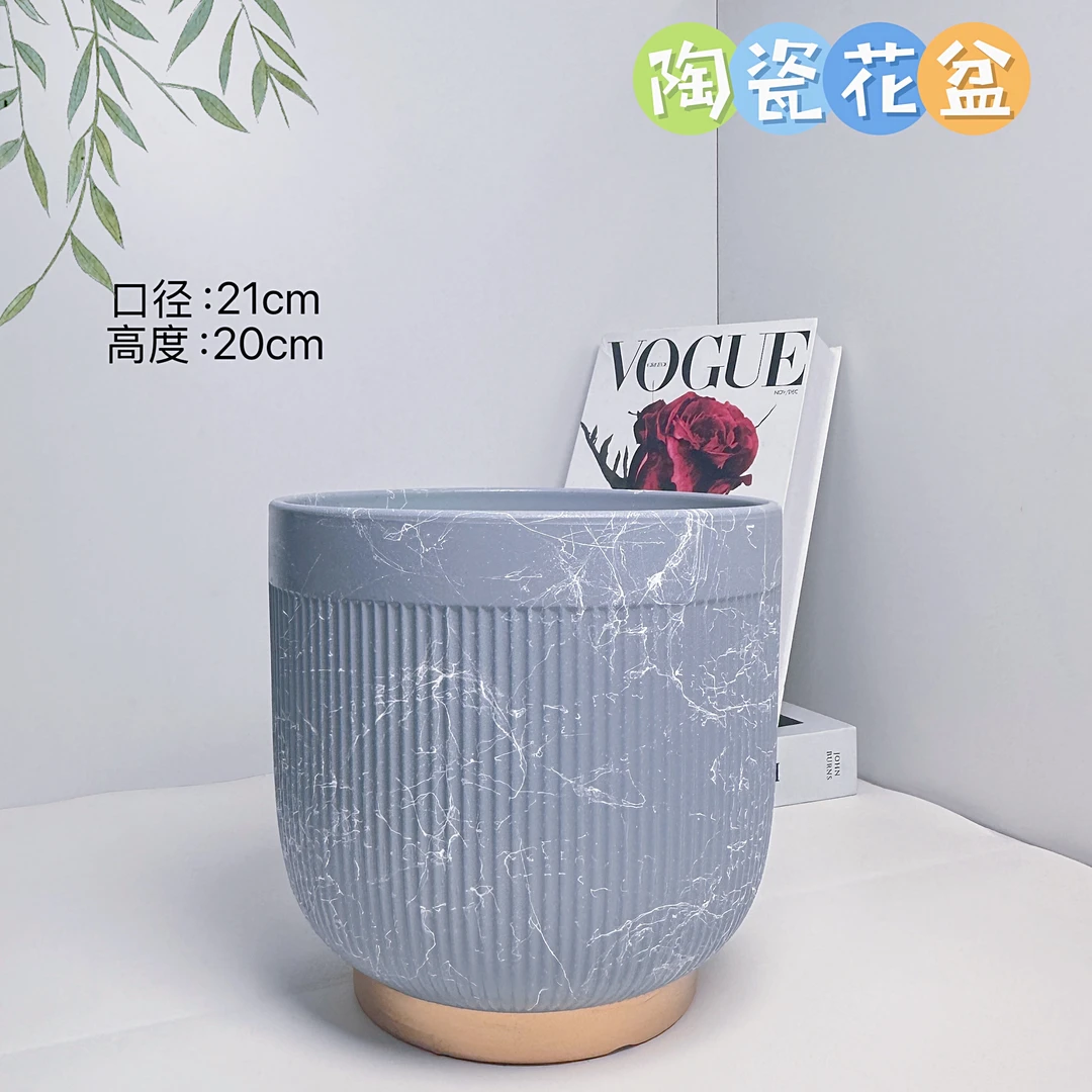 陶瓷花盆金脚灰飞丝罗马柱中号口径21高度20分蝴蝶兰君子兰发财多
