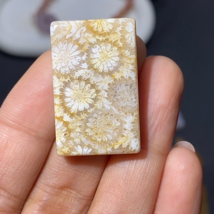 【闪购商品】未镶嵌珊瑚玉硅化玉