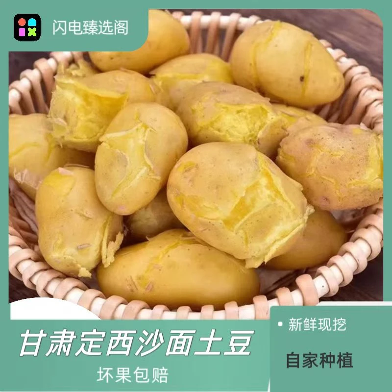 《甘肃楠楠推荐》甘肃定西高山原产地粗麻皮黄心土豆  新鲜现挖现发