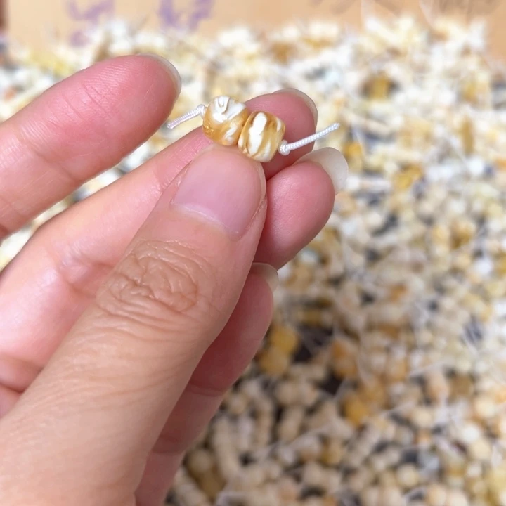 裸石蜜蜡未镶嵌7.1mm一对