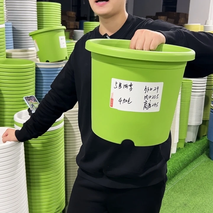 特价5号口29高24.5白色5只无托