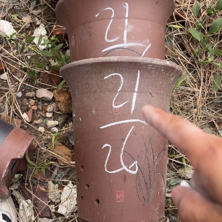 紫砂花盆紫砂的花