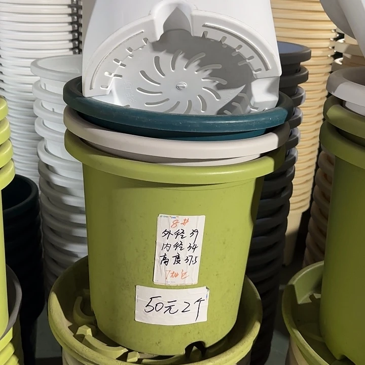 微瑕8#口径39无托果绿5个