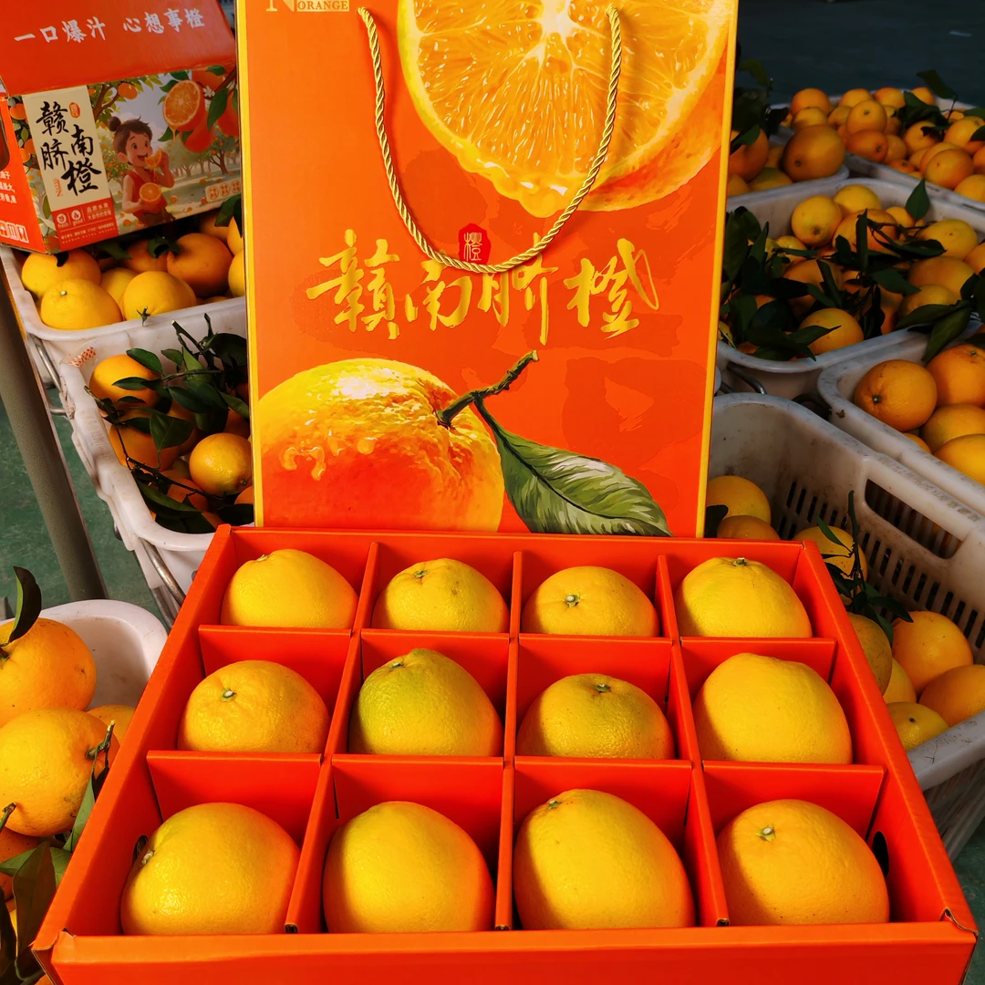【礼盒精品】现摘正宗赣南脐橙应季新鲜水果产地直发香甜多汁