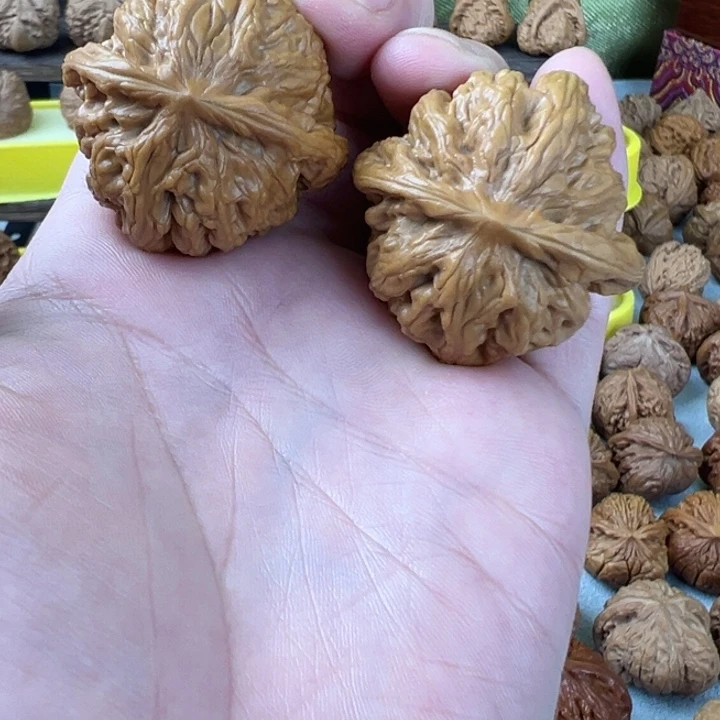 吊坠文玩核桃38尺全品无修九龙筋