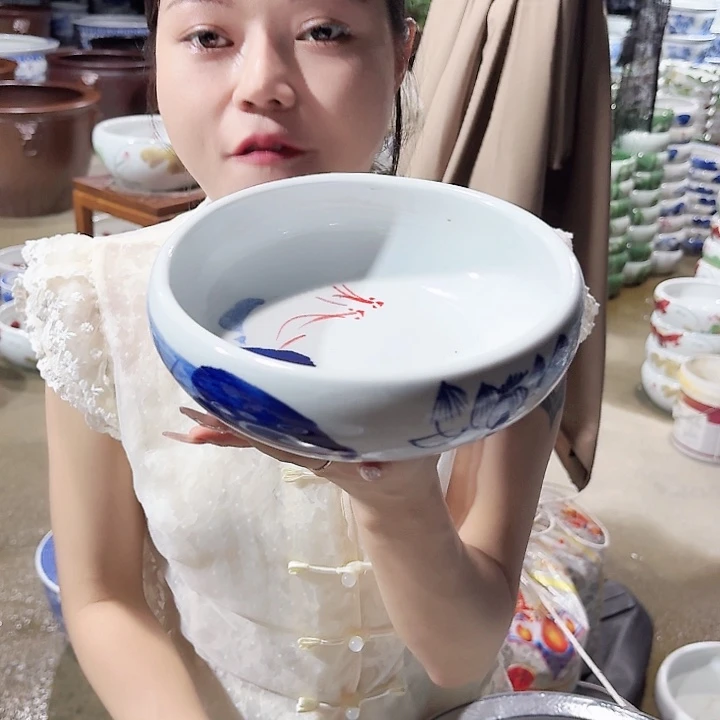 瓷片口径20厘米 高度6厘米