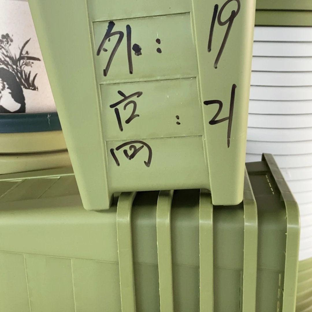 6个19口果绿方无托