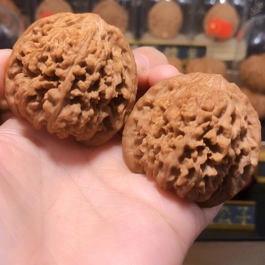 精品：肉纹满天星