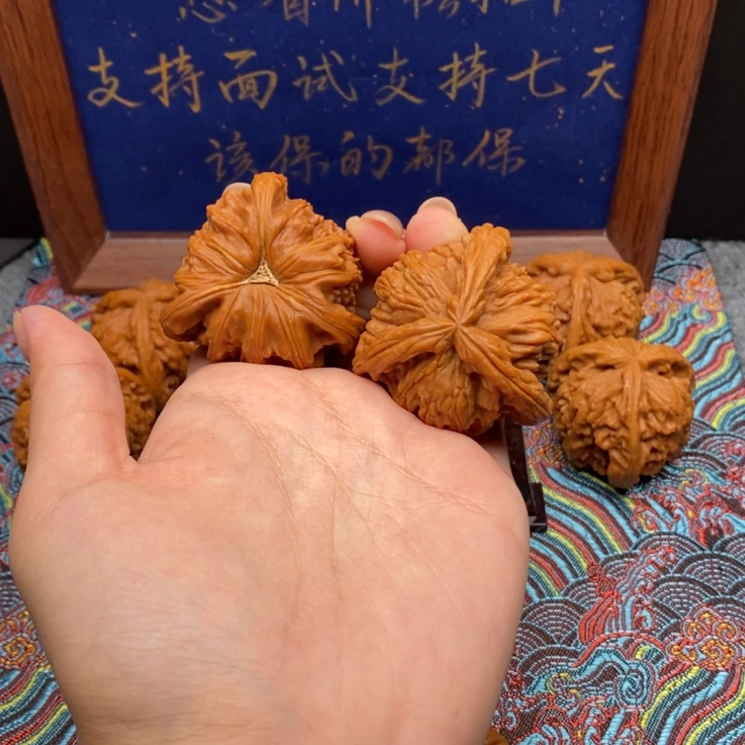 【闪购商品】快****欢白狮