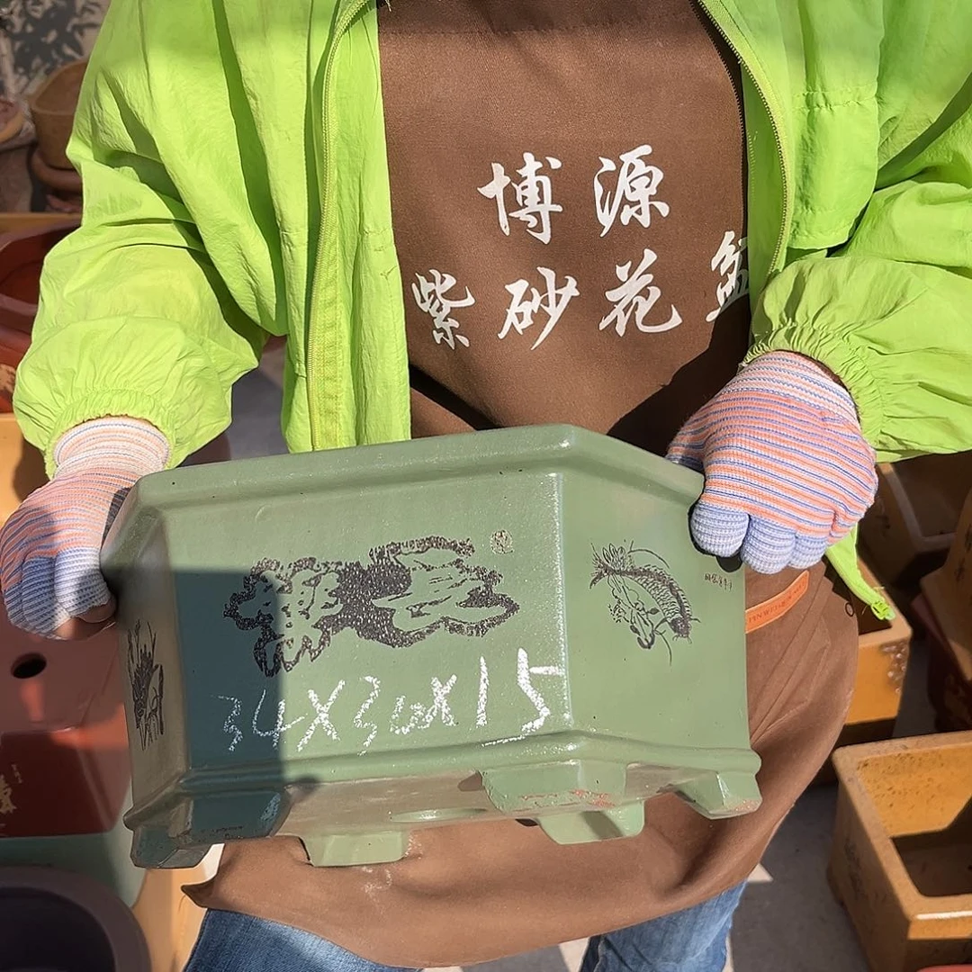 紫砂花盆盆景艺术