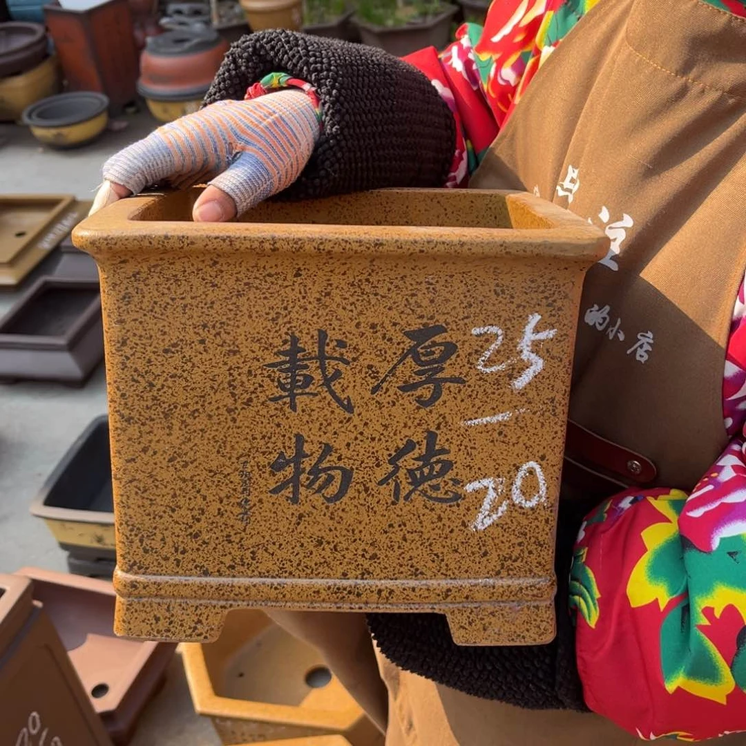 紫砂花盆盆景艺术