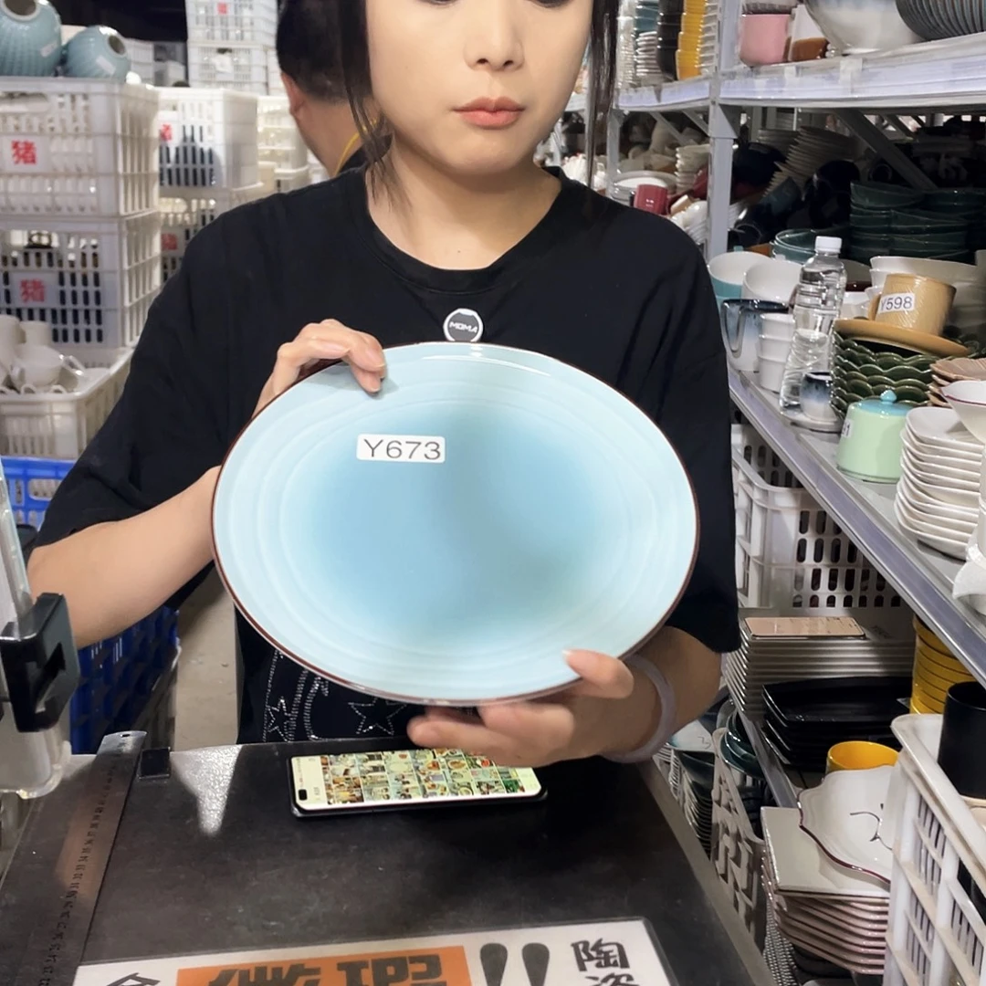 瓷片673               2个