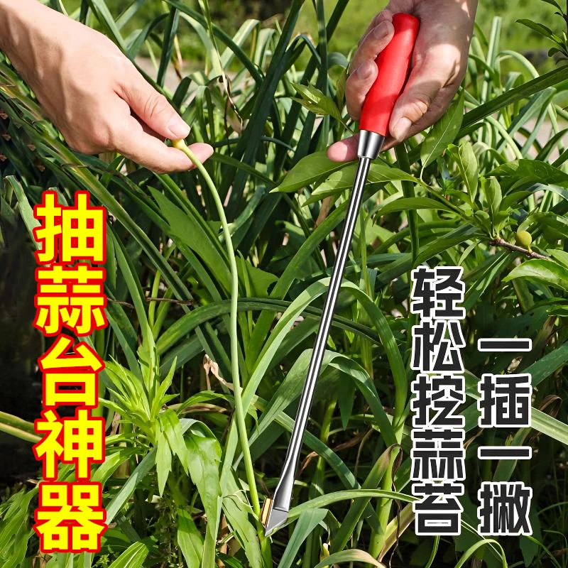 抽蒜苔收割刀抽蒜苔割蒜的工具拔剥提打蒜苔划蒜苗蒜薹收割器工具