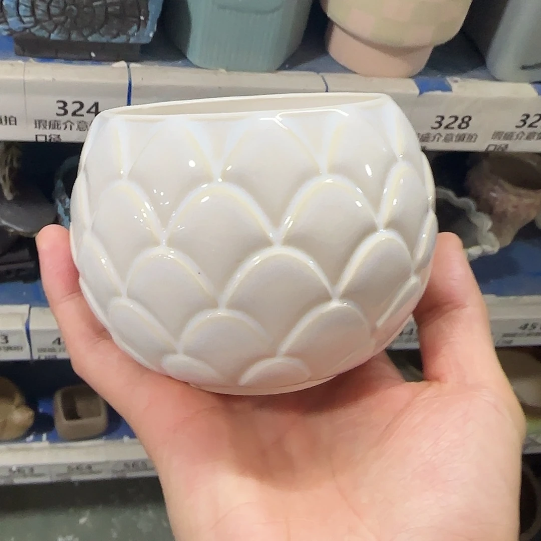 福利局绿植多肉盆［凑9元包邮24小时发］217