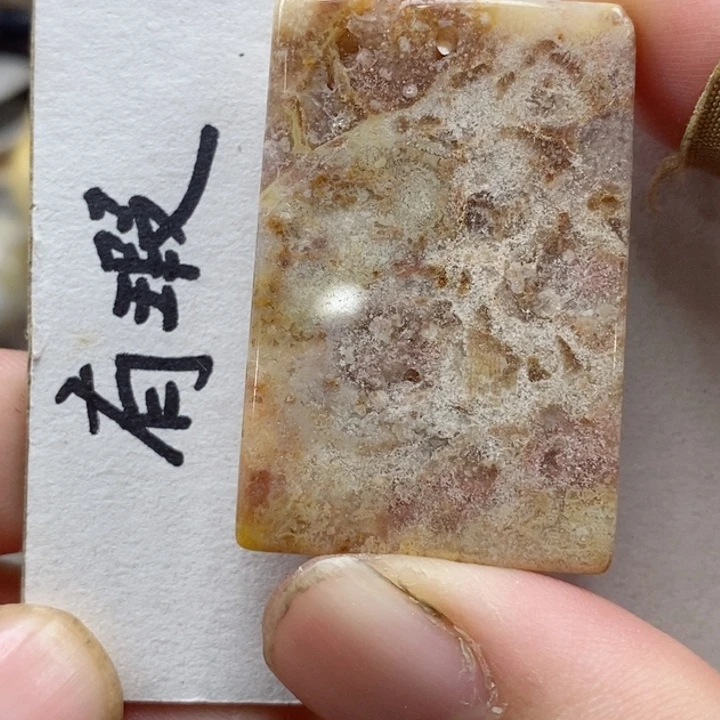 颈饰未镶嵌硅化珊瑚（珊瑚玉）
