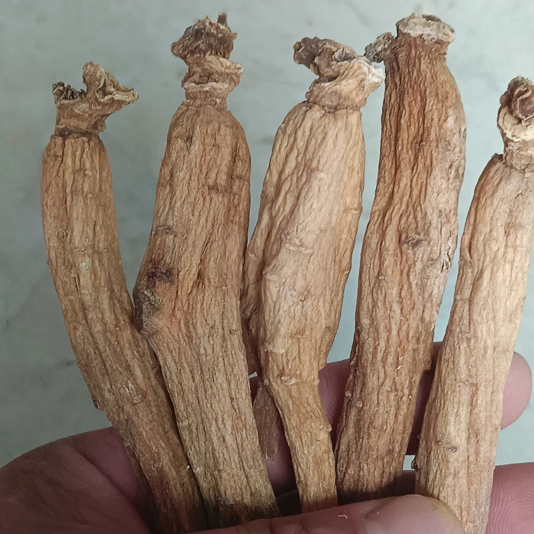 长白山产地高丽参