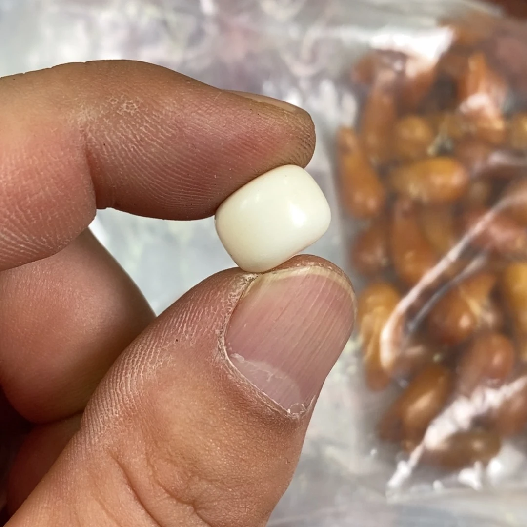 手串/手链驼骨配饰26