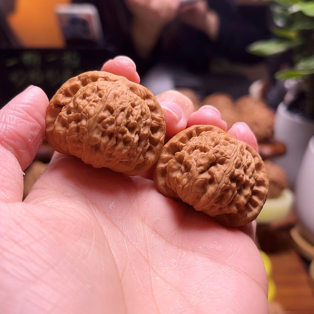怪***弟文玩核桃把件37尺白狮子4