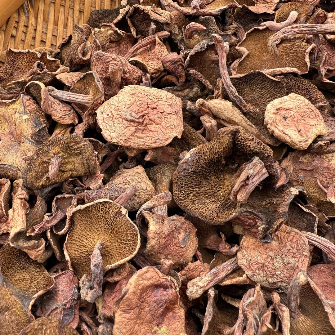 云南高原红乳牛肝菌-滑滑菇麻布列菌爆炒滑嫩