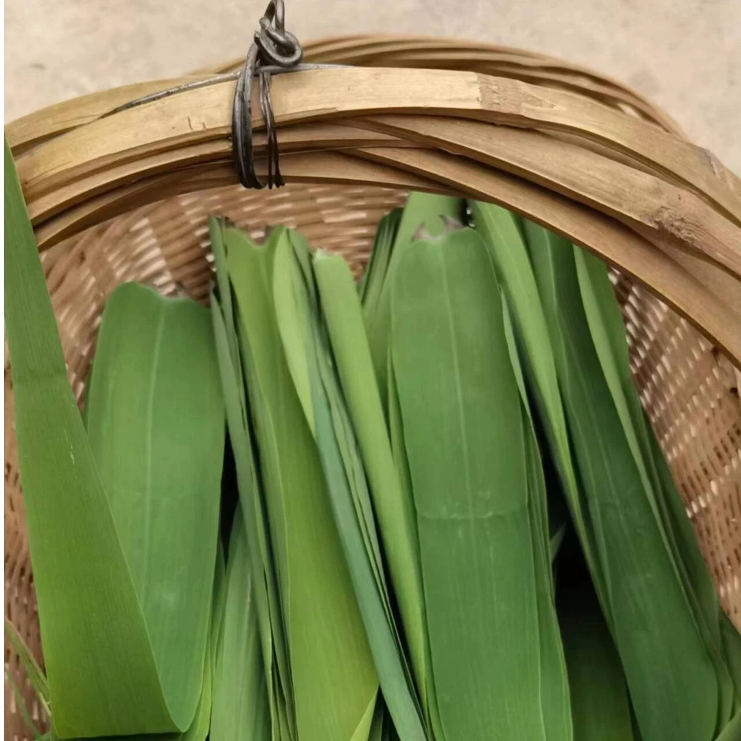 安徽野生芦苇叶芦苇叶芦苇叶 包 粽子清香十足白米粽蜜枣粽