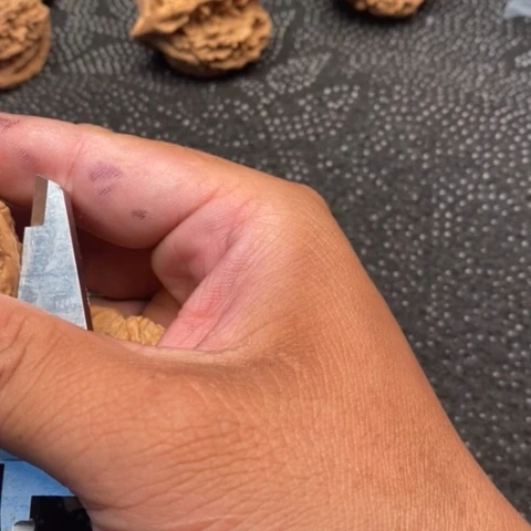 文玩核桃把件虎头20米