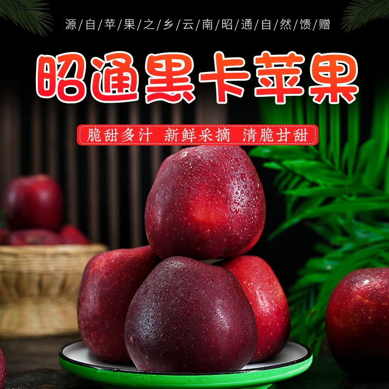 云南昭通黑卡苹果黑钻深红罕见品种紫红色粉面甜多汁新鲜季礼盒