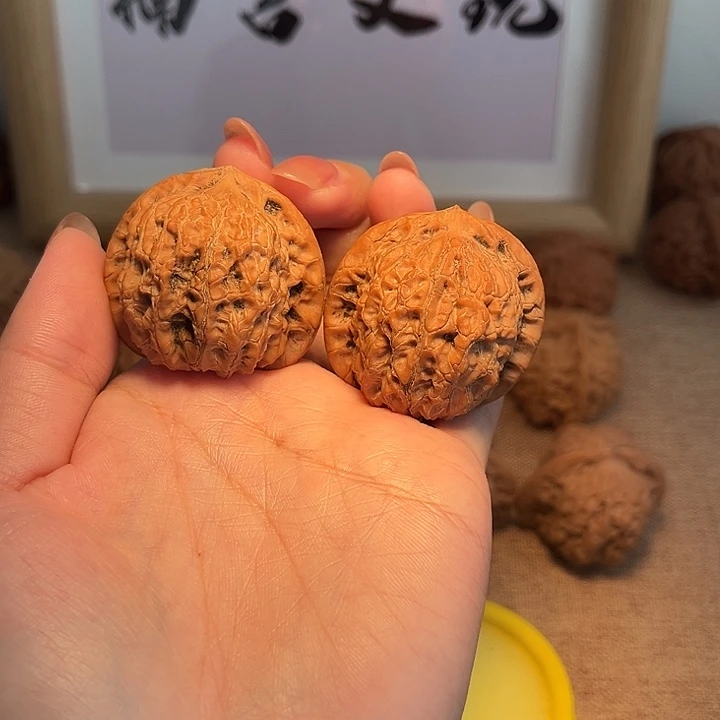 核桃全品无药血麒麟39尺