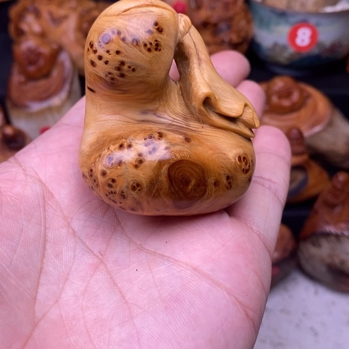 柏木（崖柏）258886999999