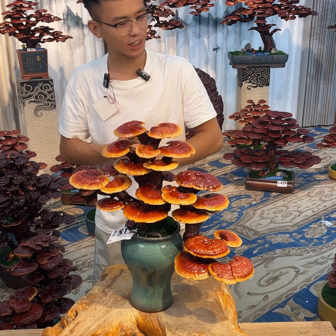 无花朵8888888888888