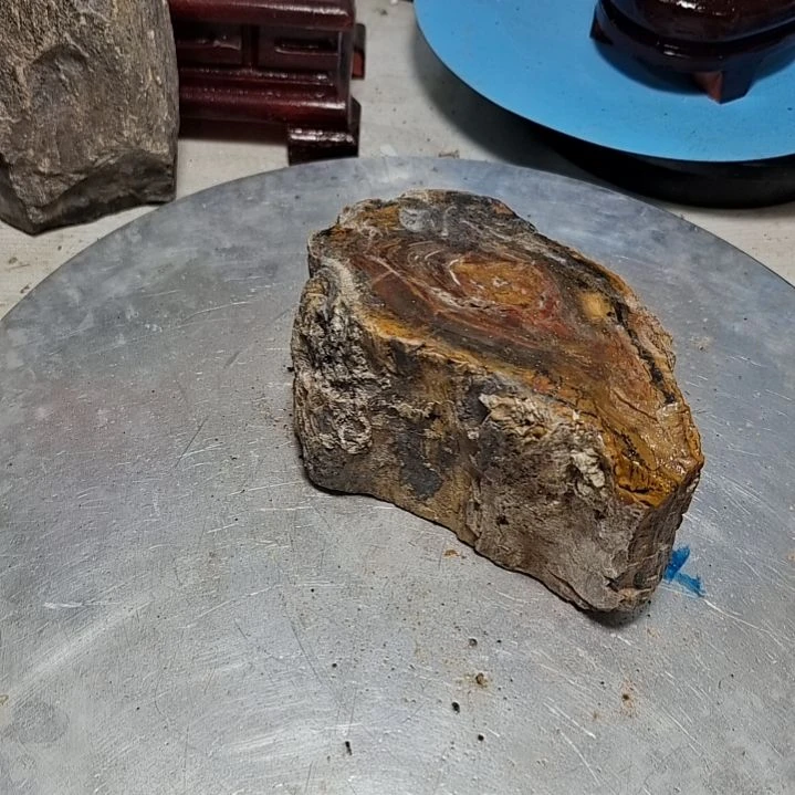 雨***…石材新疆奇台硅化木 木化石，树化石，树化玉。