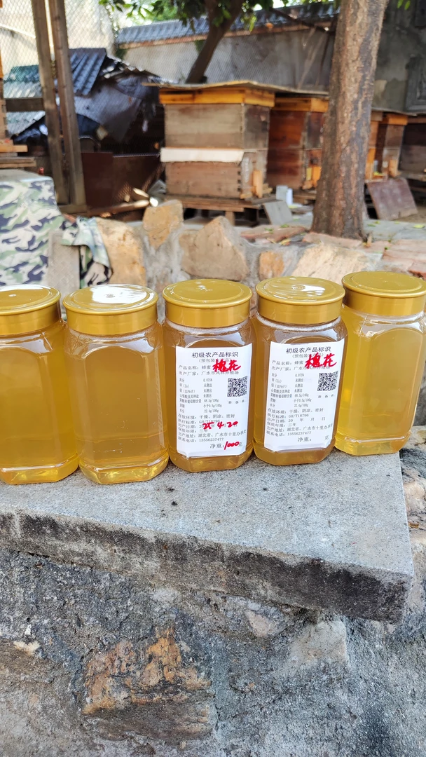 自产槐花蜜，4.20日现摇新鲜蜜，纯天然无添加