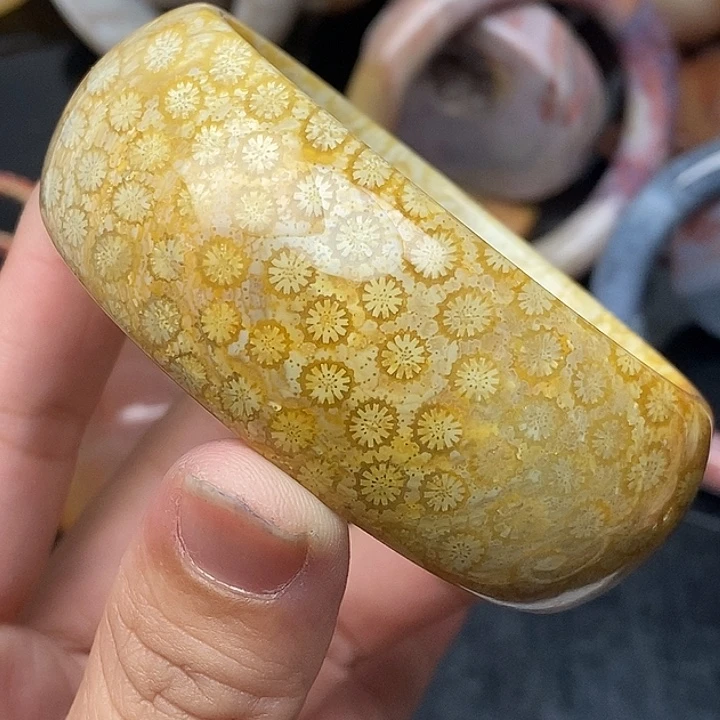 硅化玉未镶嵌颈饰57