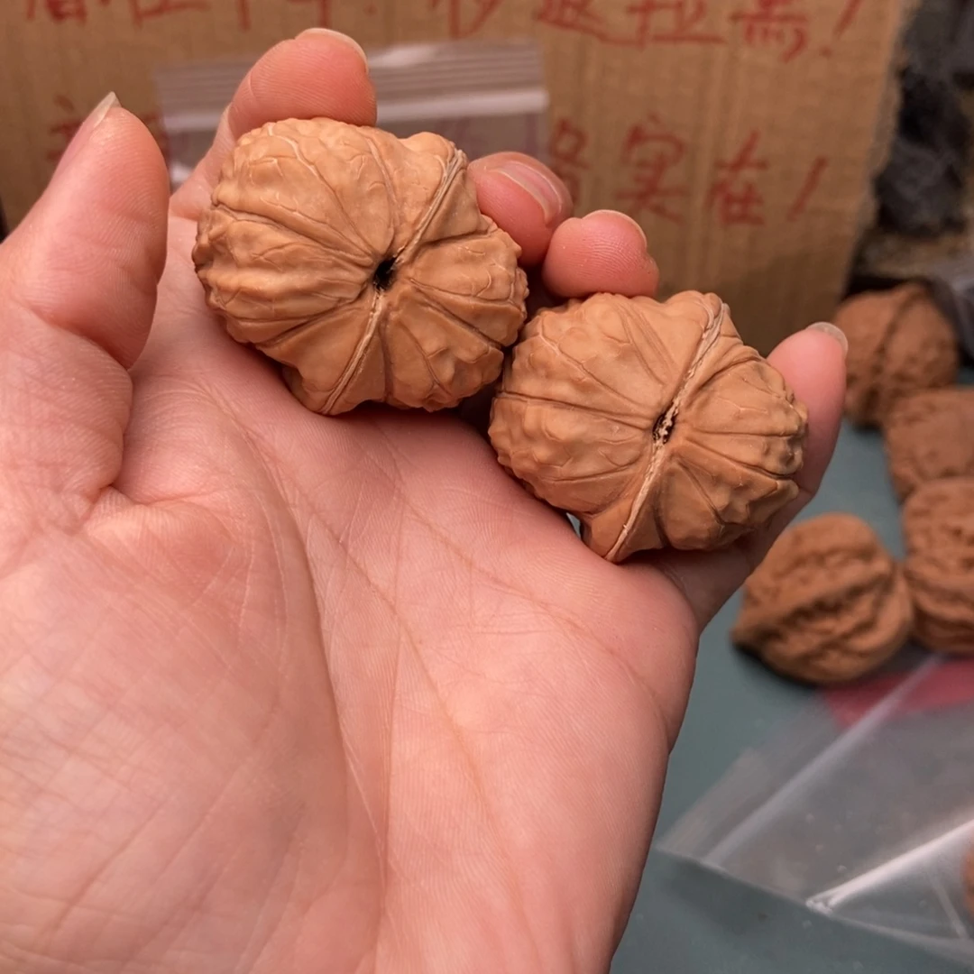 柒***座把件文玩核桃龟甲111