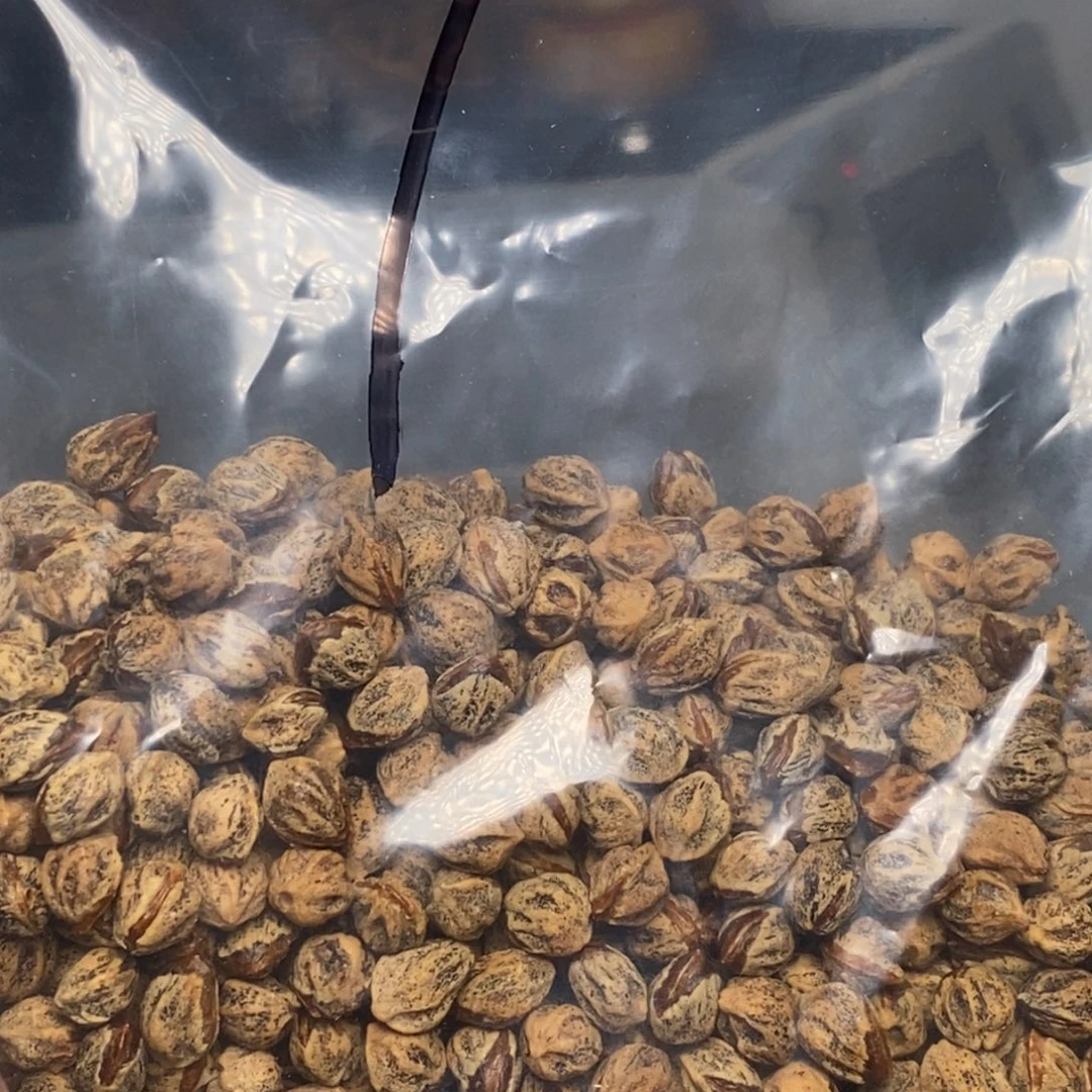 小***儿吊坠柏香籽/百香籽