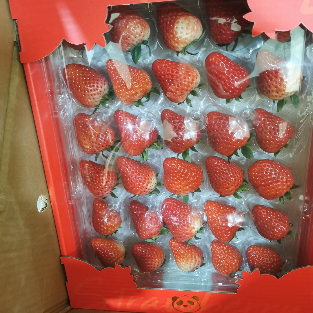 蓉颜四川双流香甜草莓1000g粉玉红颜中国大陆
